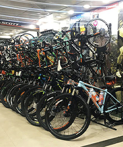 Wheelie Urban Bikes